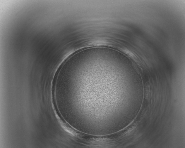 X0000068301039200604281704