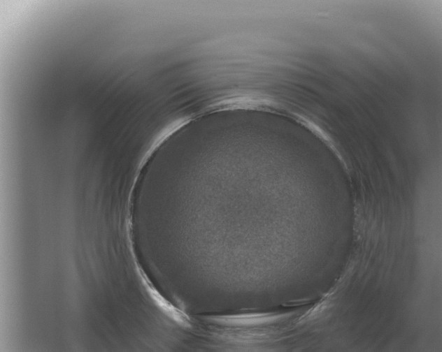 X0000068301042200604281704