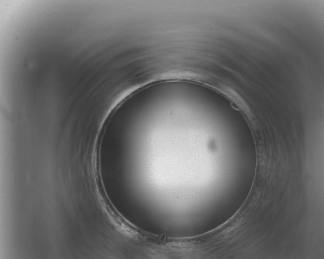 X0000068301044200604281704