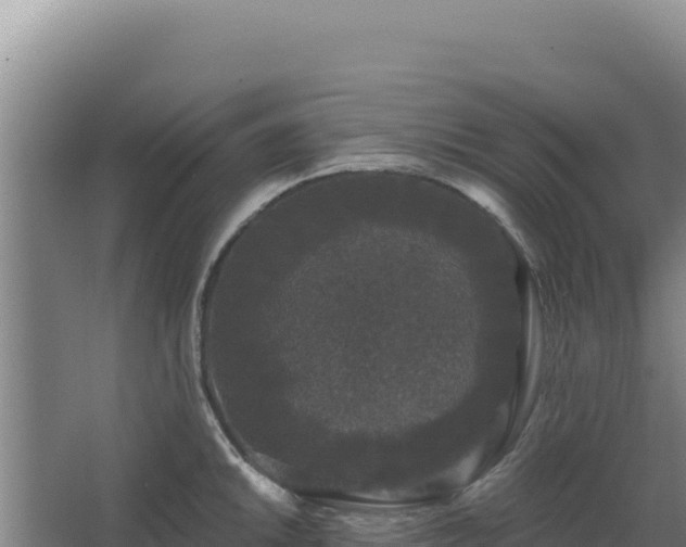 X0000068301046200604281704