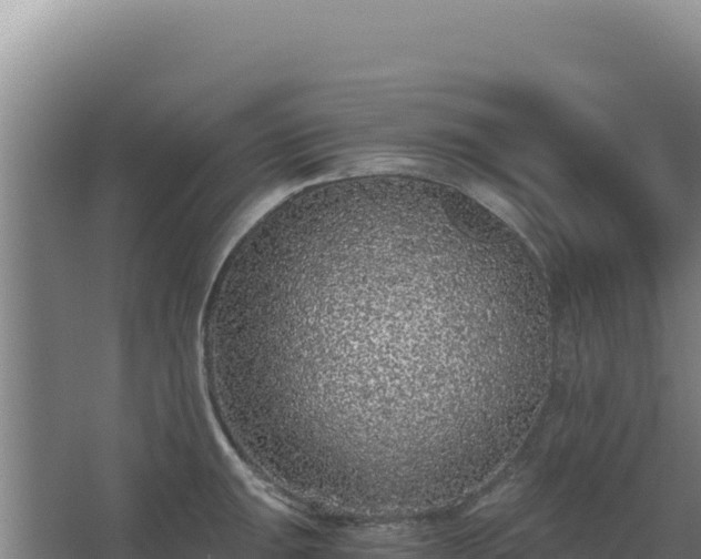 X0000068301047200604281704