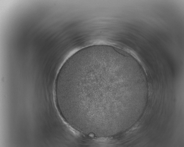 X0000068301048200604281704