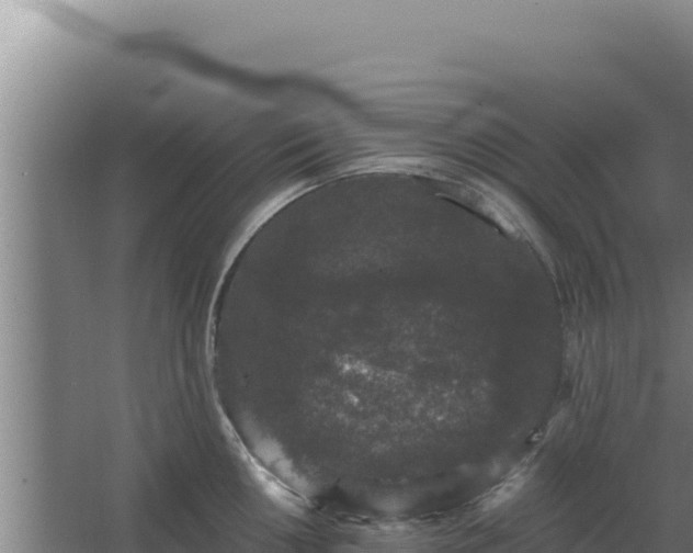 X0000068301050200604281704