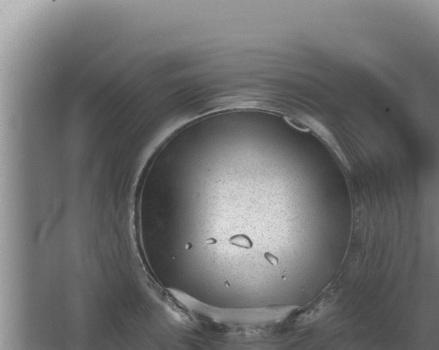 X0000068301051200604281704