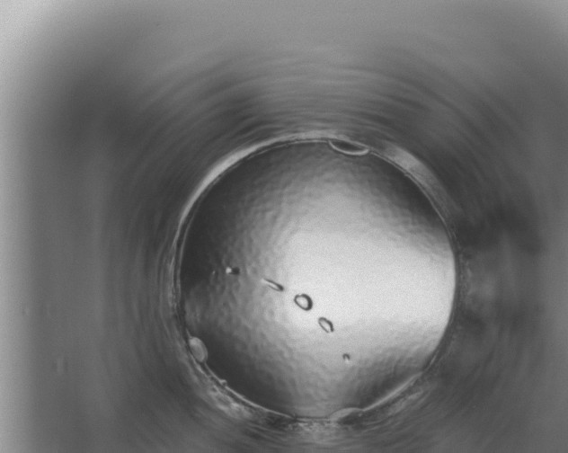 X0000068301052200604281704