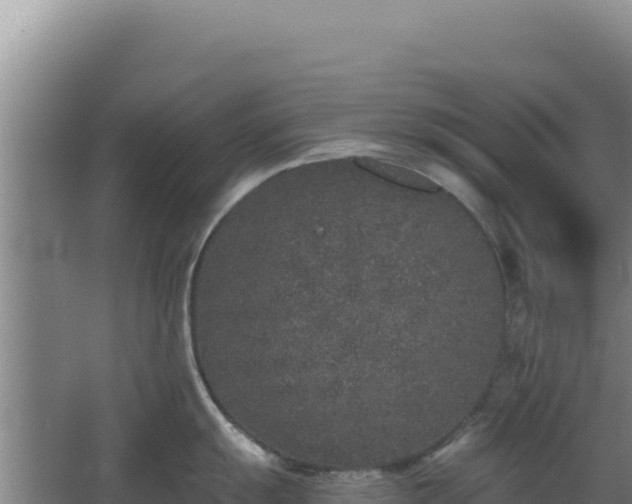 X0000068301055200604281704