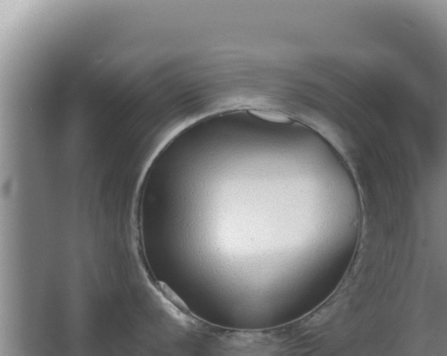 X0000068301056200604281704