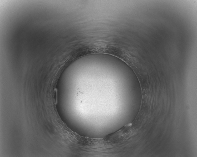 X0000068301057200604281704