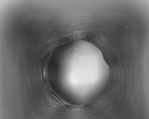 X0000068301058200604281704