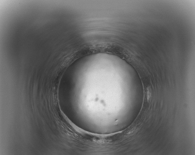 X0000068301059200604281704