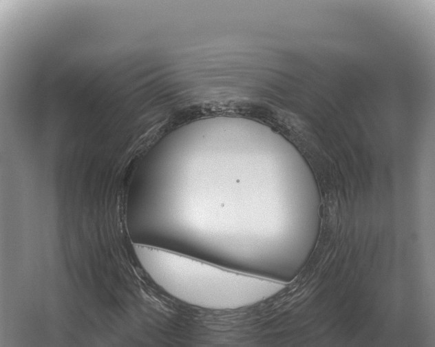 X0000068301060200604281704