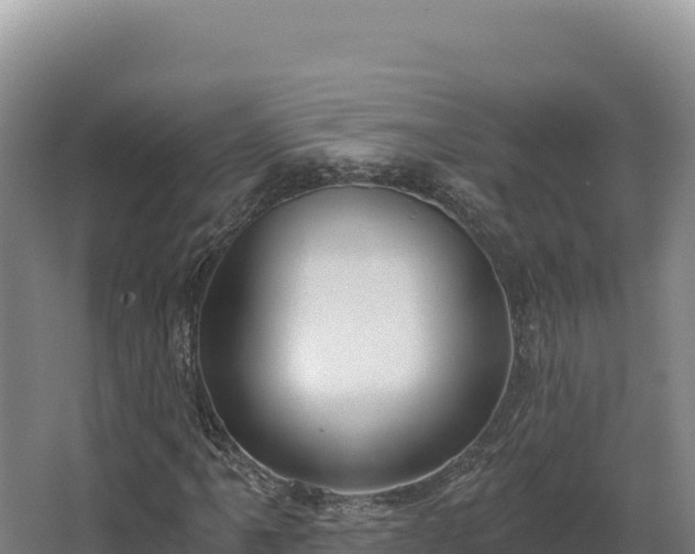 X0000068301061200604281704