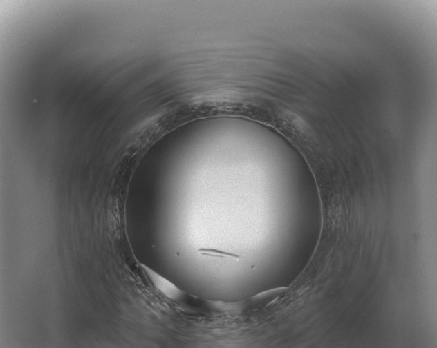 X0000068301062200604281704