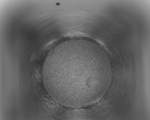 X0000068301063200604281703