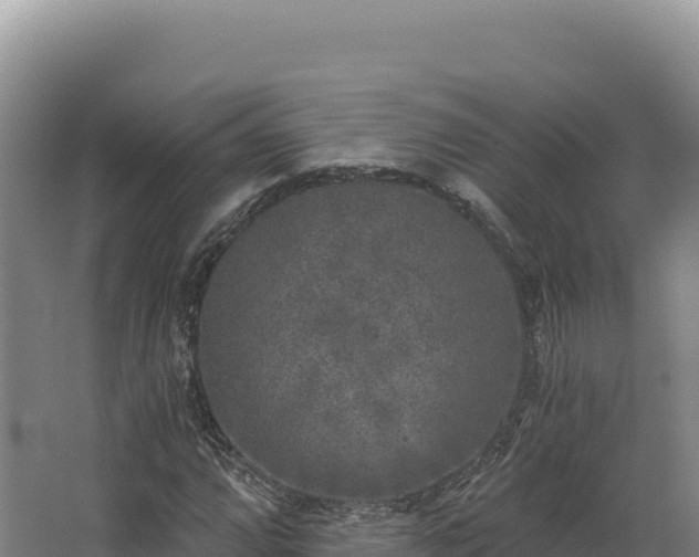 X0000068301064200604281703