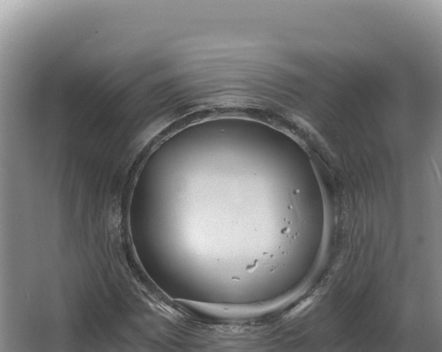 X0000068301065200604281703