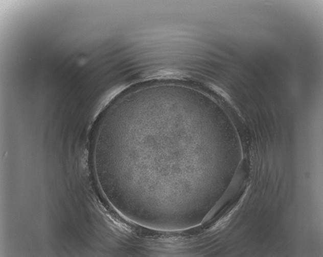 X0000068301066200604281703