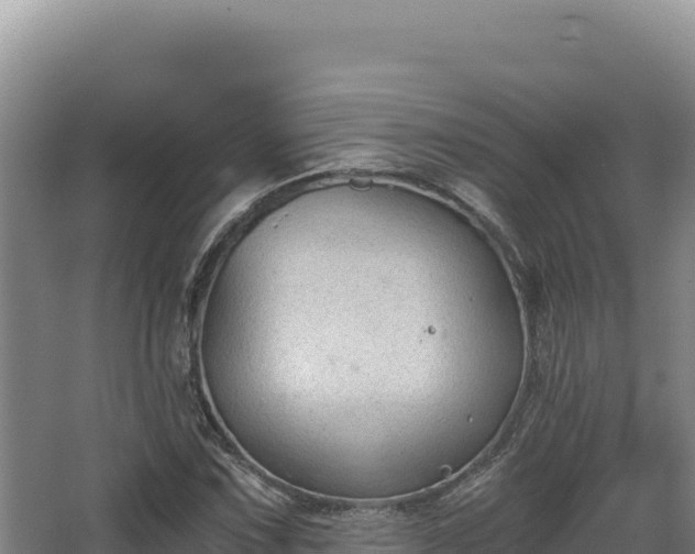 X0000068301067200604281703