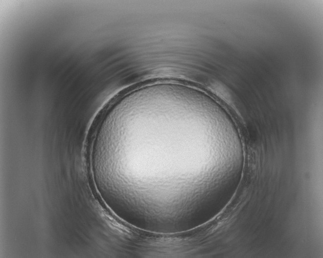 X0000068301068200604281703