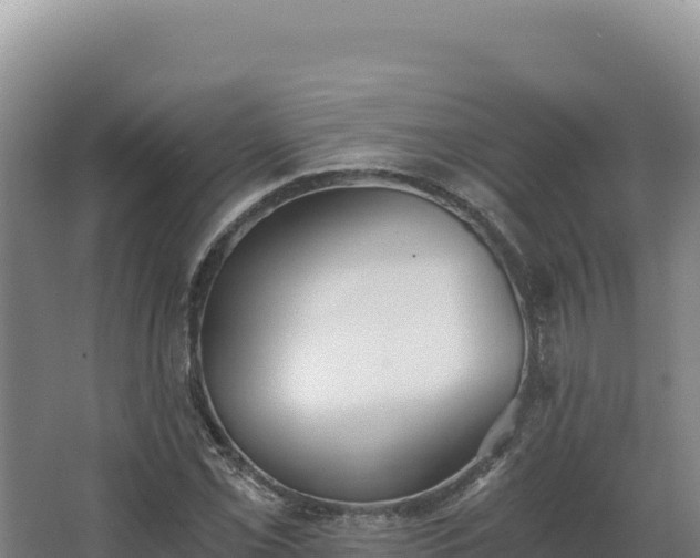 X0000068301069200604281703