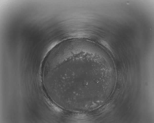 X0000068301071200604281703