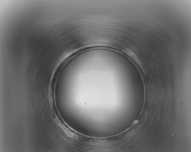 X0000068301072200604281703