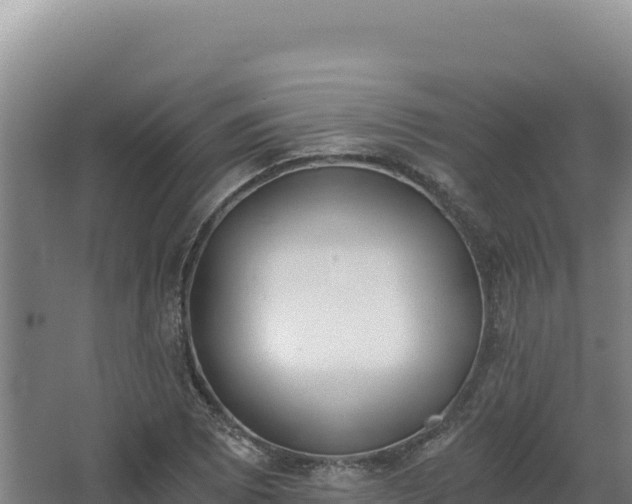 X0000068301073200604281703