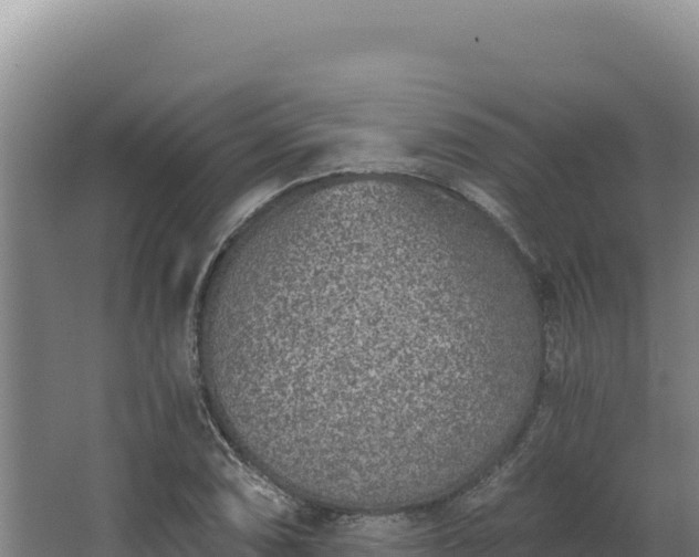 X0000068301074200604281703