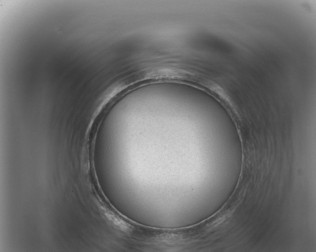 X0000068301075200604281703