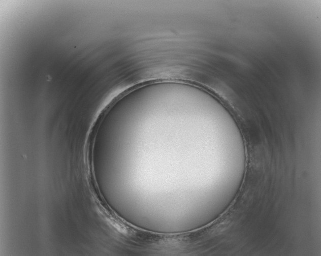 X0000068301078200604281703