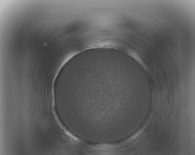 X0000068301079200604281703