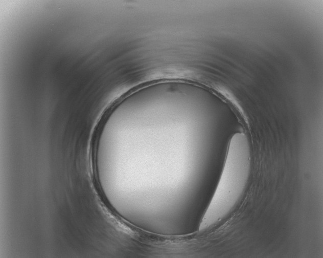 X0000068301080200604281703