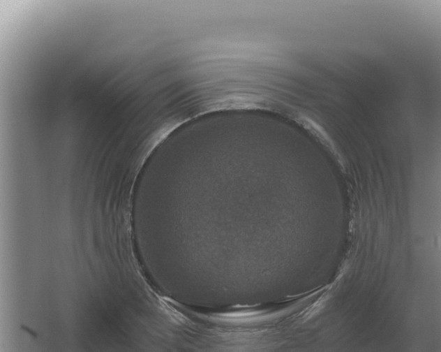 X0000068301081200604281703