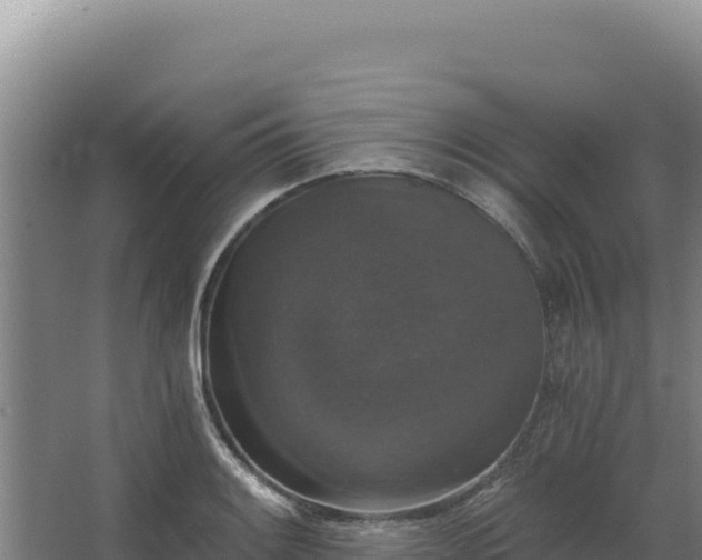 X0000068301084200604281703