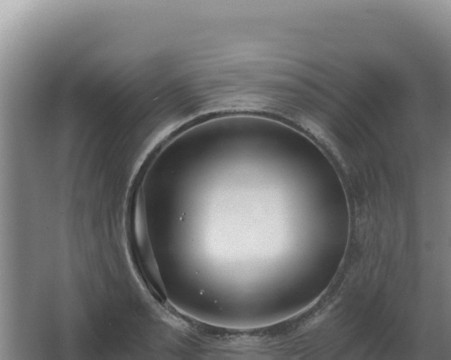 X0000068301085200604281703