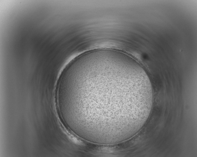 X0000068301086200604281703