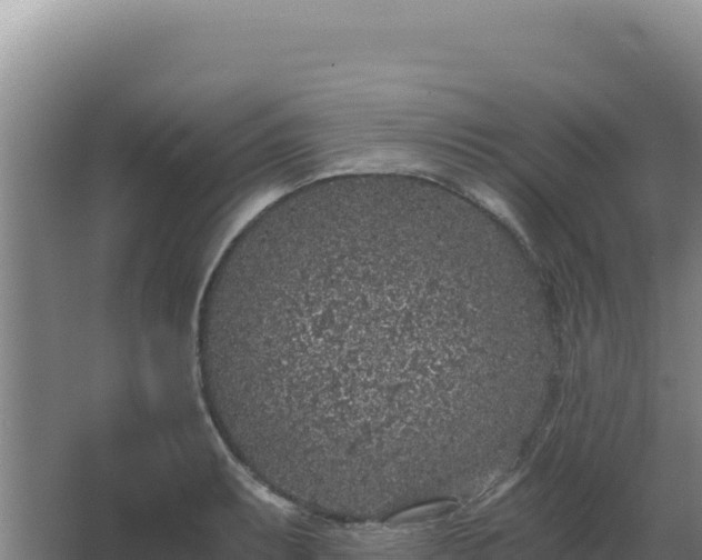 X0000068301087200604281703