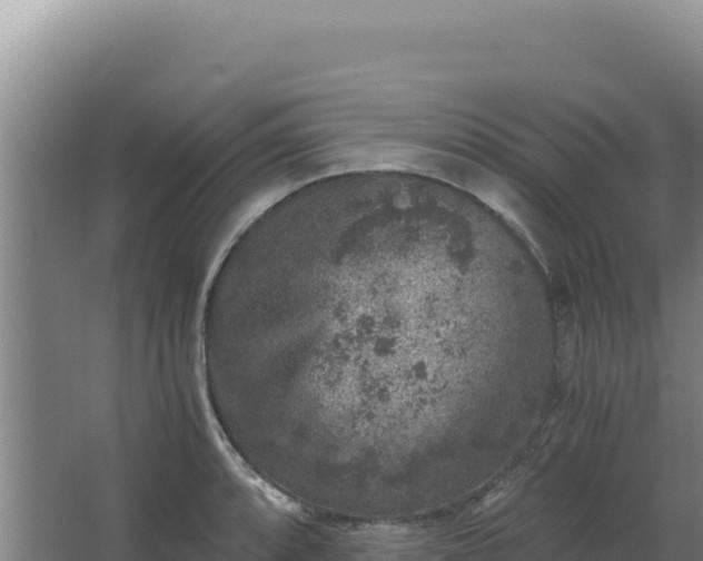 X0000068301088200604281703