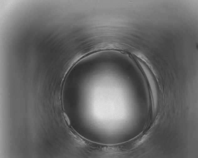 X0000068301089200604281703