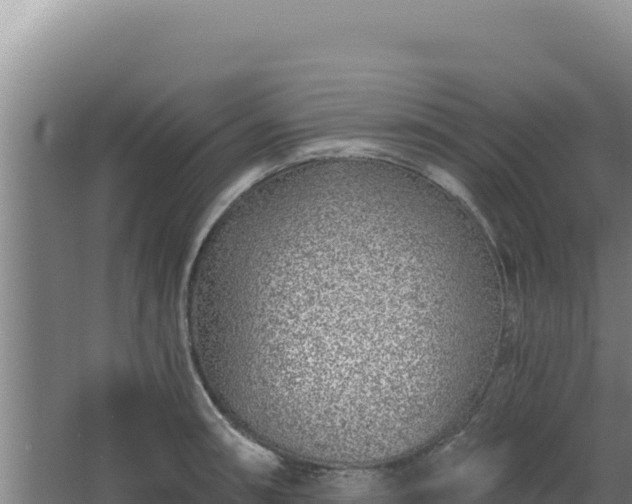 X0000068301090200604281703