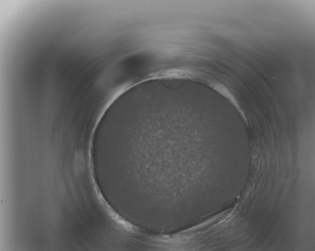 X0000068301091200604281703