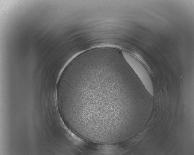 X0000068301092200604281703