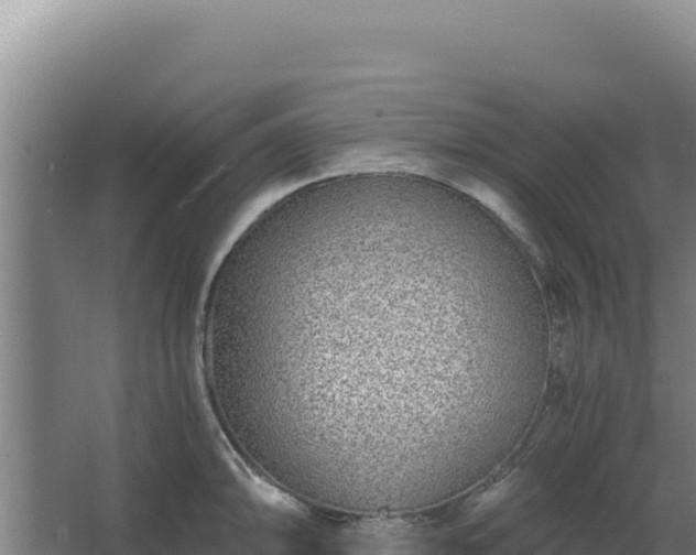 X0000068301094200604281703