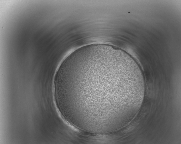 X0000068301096200604281703