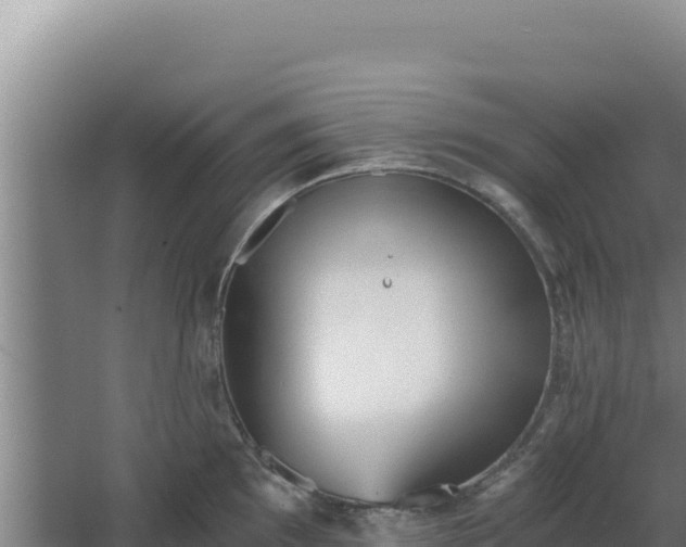 X0000068301097200604281703