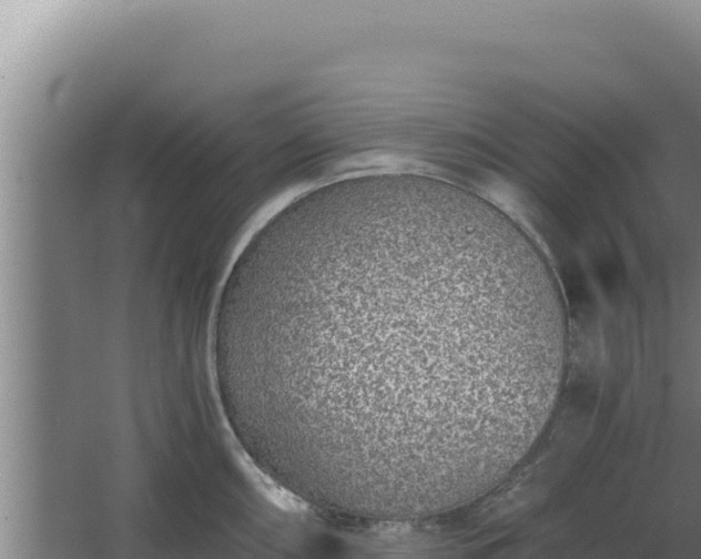 X0000068301098200604281703