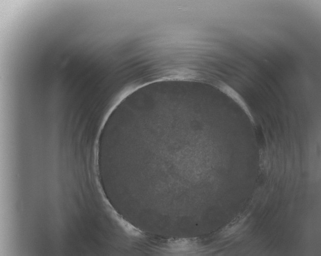 X0000068301099200604281703