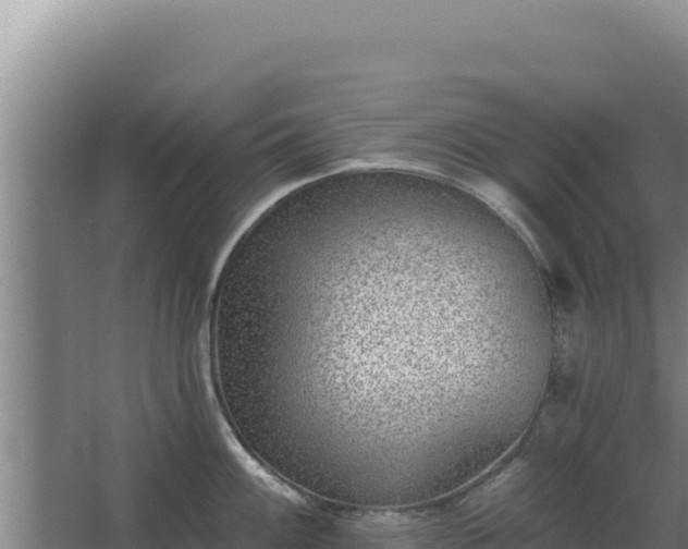 X0000068301100200604281703