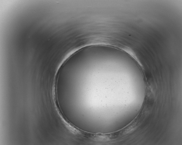 X0000068301101200604281703