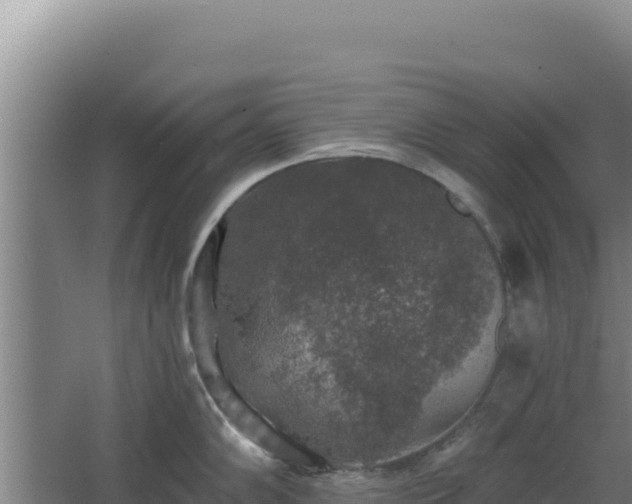 X0000068301102200604281703